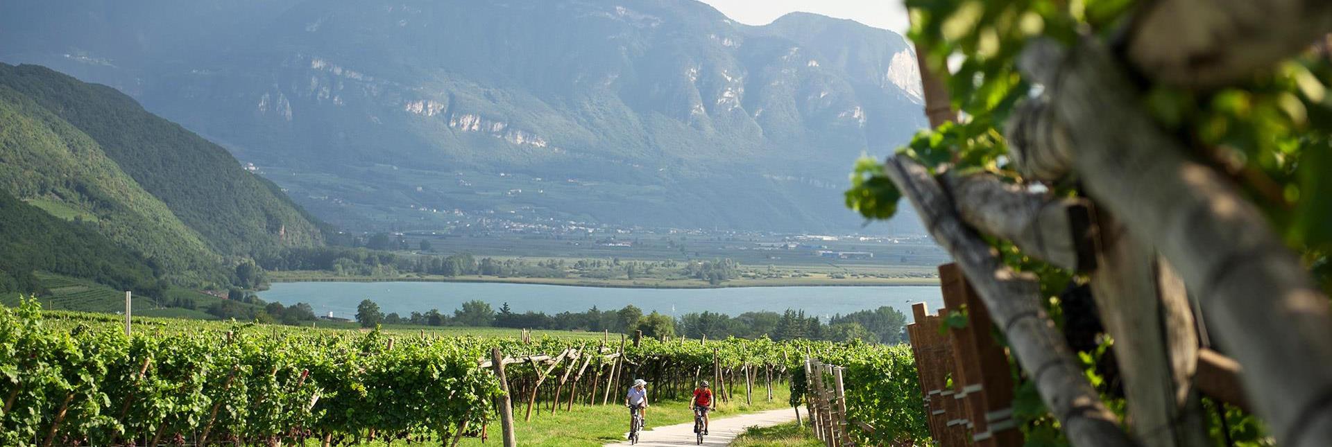 Due ciclisti percorrono un sentiero tra i vigneti con vista su un lago e montagne sullo sfondo.